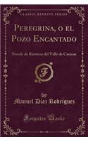 Peregrina, O El Pozo Encantado: Novela de Rústicos del Valle de Caracas (Classic Reprint)