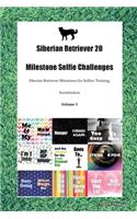 Siberian Retriever 20 Milestone Selfie Challenges Siberian Retriever Milestones for Selfies, Training, Socialization Volume 1
