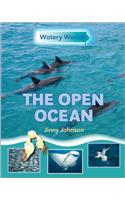 The Open Ocean