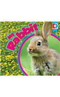 My Rabbit: (Eyediscover)