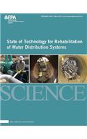 State of Technology for Rehabilitation of Water Distribution Systems