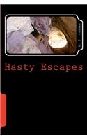 Hasty Escapes: Book One of Some Hasty Adventures(1 Some Hasty Adventures)