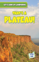 That's a Plateau!: (Let's Look at Landforms)