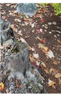 Journal Fall Foliage Leaves Ground Tree Stump
