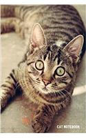 Cat Notebook: 6x 9 Lined Notebook Cat Composition Notebook Journal and Diary100 Pages (Volume 29)