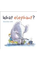 What Elephant?