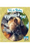 It's a Baby Flying Fox!