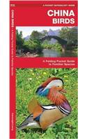 China Birds