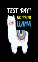 Test Day No Prob Llama