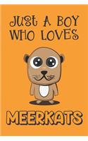 Just A Boy Who Loves Meerkats