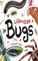 Life-size: Bugs: (Life-size Boards)