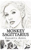 Monkey Sagittarius