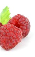 Raspberry Notebook