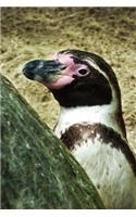 Penguin Notebook