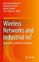 Wireless Networks and Industrial IoT