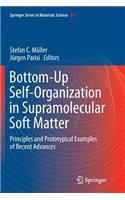 Bottom-Up Self-Organization in Supramolecular Soft Matter