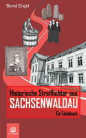 Historische Streiflichter aus Sachsenwaldau: Ein Lesebuch