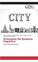 Principios De Química Orgánica