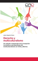 Derecho y multiculturalismo