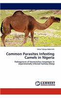 Common Parasites Infesting Camels in Nigeria
