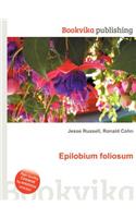 Epilobium Foliosum: (English)