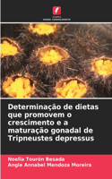 Determinação de dietas que promovem o crescimento e a maturação gonadal de Tripneustes depressus