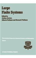 Large Finite Systems