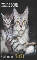 maine coon: 2021 Wall & Office Calendar, 12 Month Calendar