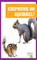 Chipmunk or Squirrel?: (Spot the Differences)