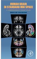 Human Brain in Standard Mni Space
