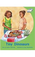 Tiny Dinosaurs PM PLUS Level 23 Silver