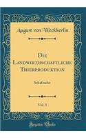 Die Landwirthschaftliche Thierproduktion, Vol. 3: Schafzucht (Classic Reprint)