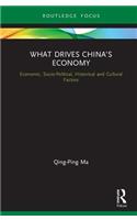What Drives China’s Economy