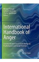 International Handbook of Anger