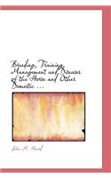 Breeding, Training, Management and Diseases of the Horse and Other Domestic ...