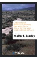 Laboratory Instructions for Fire Assays of Gold, Silver, and Lead: Mining ...: Mining ...