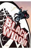 Black Widow Vol. 1: S.h.i.e.l.d.'s Most Wanted