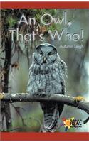 An Owl, That's Who!