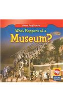 What Happens at a Museum?