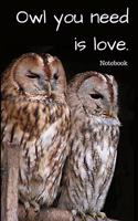 Owl you need is love.