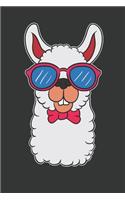 White Llama Sunglasses Journal