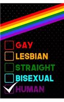 Gay Lesbian Straight Bisexual Human