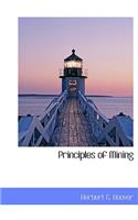 Principles of Mining
