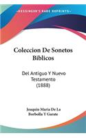 Coleccion De Sonetos Biblicos