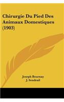 Chirurgie Du Pied Des Animaux Domestiques (1903)