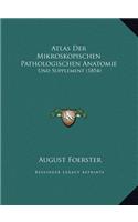 Atlas Der Mikroskopischen Pathologischen Anatomie