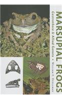 Marsupial Frogs