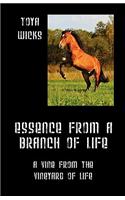 Essence from a Branch of Life: (English)