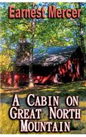 Cabin on Great North Mountain