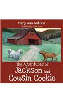 Adventures of Jackson and Cousin Cookie